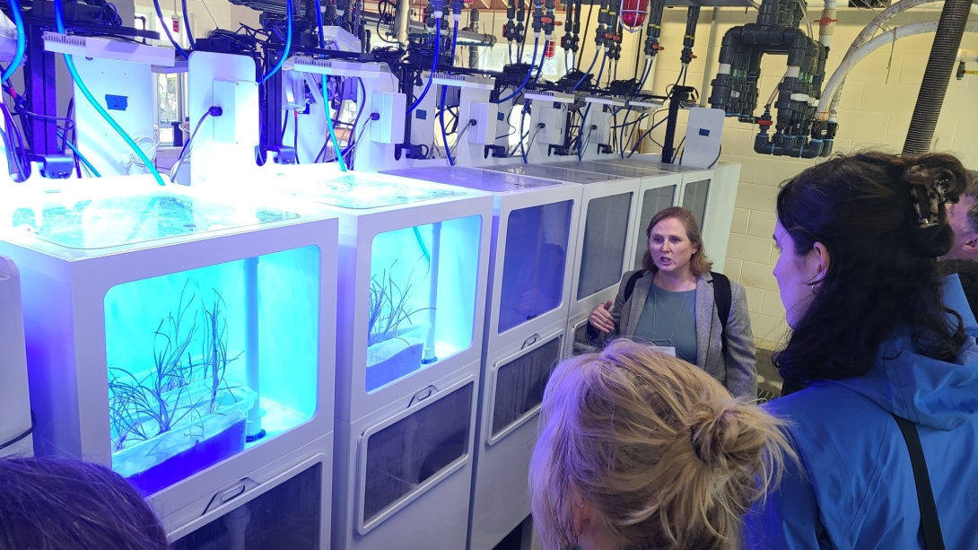 SES/SBD Event Gallery | Marine Biological Laboratory