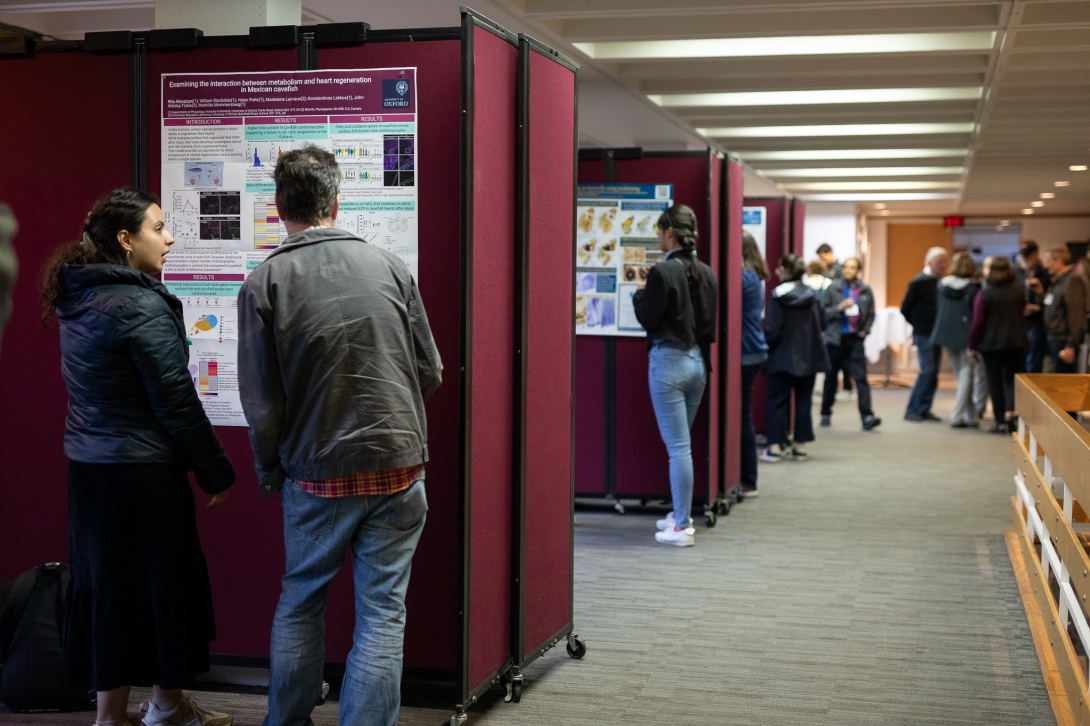 The student poster session at the Embryology Course 130th Anniversary Symposium. Credit: Dee Sullivan